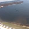 Video: Delta Passenger Captures Bird Strike That Forced Emergency Landing At JFK